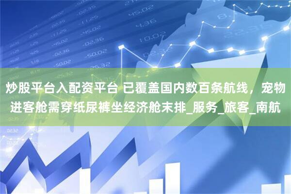 炒股平台入配资平台 已覆盖国内数百条航线，宠物进客舱需穿纸尿裤坐经济舱末排_服务_旅客_南航